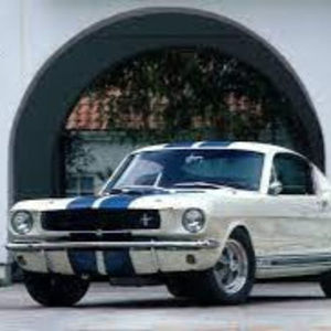 Meet your Posher, Tommy